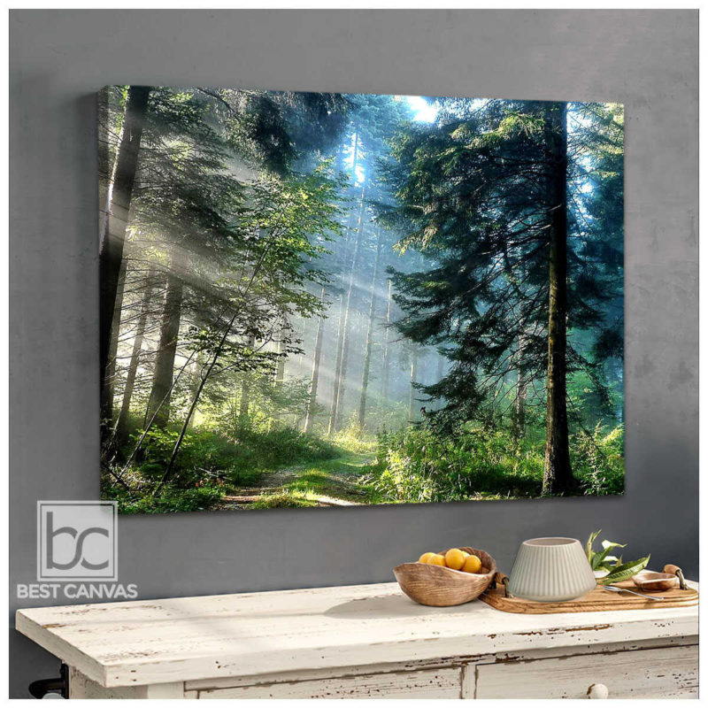 Forest Canvas Wall Art Green Tall Trees In Forest Landscape Large Sizes ...
