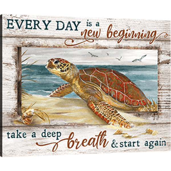 bod banner7 optimized