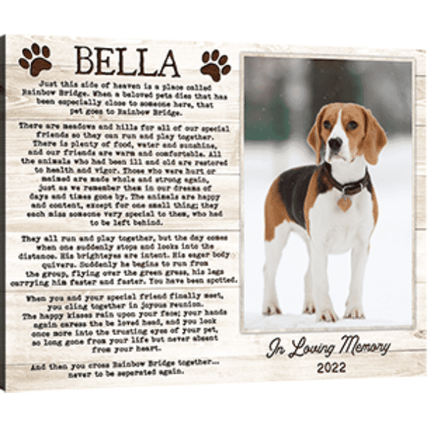 bod banner6 optimized