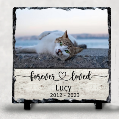 Cat Memorial Gifts Best Canvas Wall Art