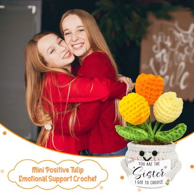 sister I got to choose gift, crochet tulip flower pot
