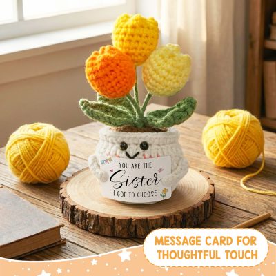 sister I got to choose gift, crochet tulip flower pot
