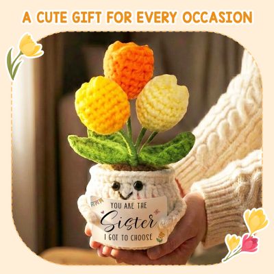 sister I got to choose gift, crochet tulip flower pot
